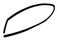 OEM 2001 Dodge Ram 3500 Seal-Glass Run - 55135252AB