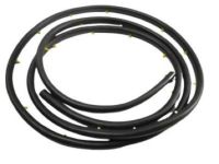 OEM 2000 Dodge Ram 1500 Van WEATHERSTRIP-Front Door - 55346677AI