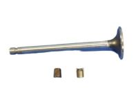 OEM Ram Valve Kit-Intake - 5011879AA