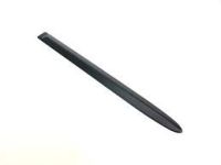 OEM Ram Dakota Molding-Rear Door - 55077172AD