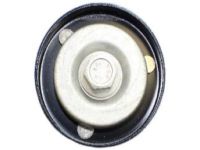 OEM 2005 Jeep Liberty Pulley-Idler - 68211444AA