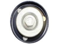 OEM Jeep Pulley-Idler - 68211444AA