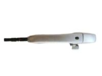 OEM 2018 Jeep Grand Cherokee Handle-Exterior Door - 1QA18JSCAJ