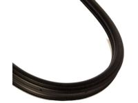 OEM 2007 Dodge Charger WEATHERSTRIP-Front Door Opening - UQ20BD1AC