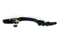 OEM 2012 Dodge Durango Handle-Exterior Door - 1QA21SW1AJ