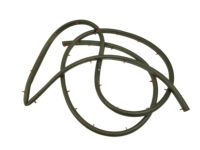 OEM 2001 Dodge Ram 2500 Van WEATHERSTRIP-Front Door - 55346676AI