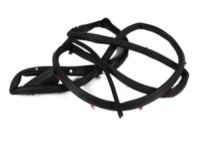 OEM 2005 Dodge Magnum WEATHERSTRIP-Rear Door Mounted - 5065164AI