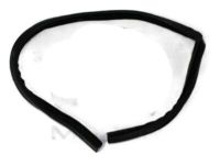 OEM 2008 Dodge Ram 2500 Seal-Door - 55277027AD