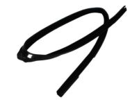 OEM 2005 Dodge Dakota Seal-Rear Door - 55359350AC