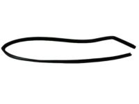 OEM 2001 Dodge Ram 3500 Seal-Glass Run - 55135253AB