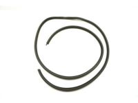 OEM 1988 Dodge D250 WEATHERSTRIP-Assembly-Front Door - 55023781