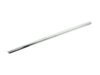 OEM 2012 Ram C/V Molding-Front Door - ZT53SZ0AA
