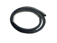 OEM Chrysler WEATHERSTRIP-Front Door Opening - UJ31XXXAG