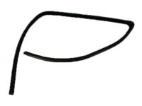 OEM 2003 Dodge Ram 3500 Seal-Glass Run - 55276181AH