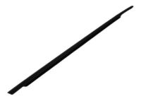 OEM 2005 Dodge Magnum WEATHERSTRIP-Front Door Belt - 4805996AE