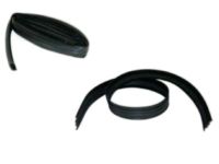 OEM 1996 Dodge B2500 WEATHERSTRIP-Front Door Glass - 4082007