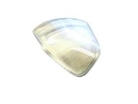 OEM 2020 Ram 2500 Turn Signal - 68460763AA