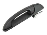 OEM 2011 Ram Dakota Handle-Front Door Exterior - 55275948AC