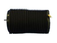 OEM 2020 Ram 2500 Rear Coil Spring - 68349603AA