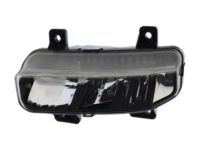 OEM Ram 2500 Fog Lamp - 68273291AB