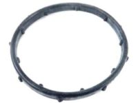 OEM 2020 Ram ProMaster 2500 Seal-THERMOSTAT - 4893377AA