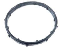 OEM 2019 Ram ProMaster 3500 Seal-THERMOSTAT - 4893377AA