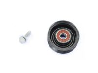 OEM Jeep Wrangler Pulley-Idler - 4627041AA