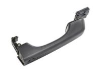 OEM 2022 Jeep Wrangler Handle-Exterior Door - 68307269AC