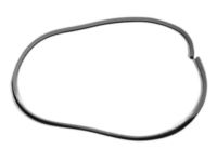 OEM Dodge Charger WEATHERSTRIP-Front Door Opening - UQ20DW1AD