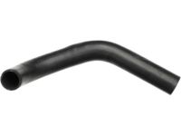 OEM Dodge Dakota Hose - 52028010