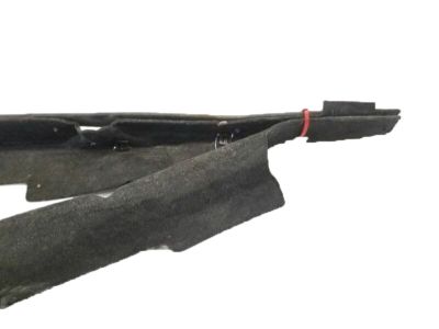 Nissan 65820-9HS0A Seal Assy-Hood, Front RH