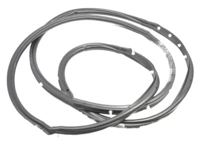 Nissan 76842-2Y06A WEATHERSTRIP-Roof Drip, R