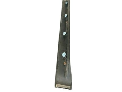 Nissan 82870-CC20A Moulding-Rear Door, RH