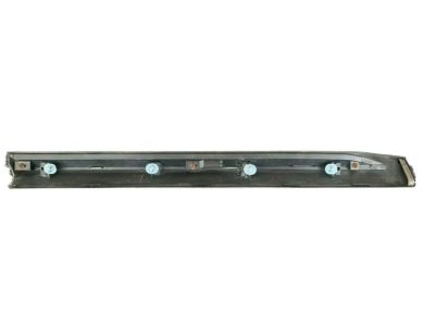 Nissan 82870-CC20A Moulding-Rear Door, RH
