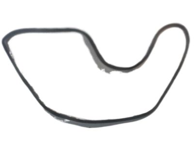 Infiniti 90832-7S00A Weatherstrip-Back Door Opening