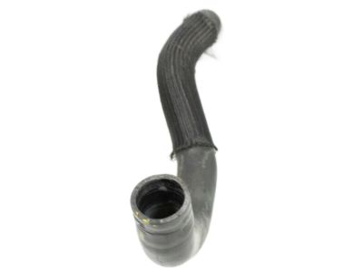 Nissan 21503-JF00A Hose-Radiator, Lower