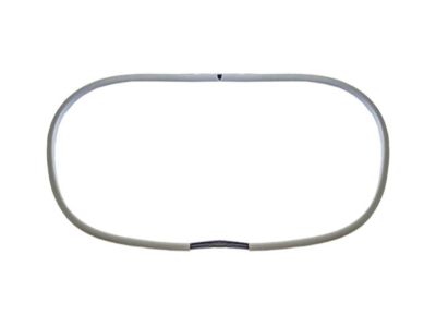 Nissan 91346-40F10 Weatherstrip-Sunroof