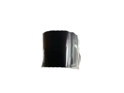 Nissan 80819-4RA0A Tape-Front Door Sash Rear, LH