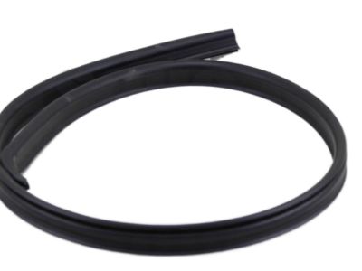 Nissan 76842-01G11 WEATHERSTRIP-Roof Drip, R