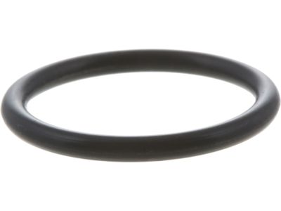 Nissan 15066-ZL80C Seal O Ring (20.8MM)