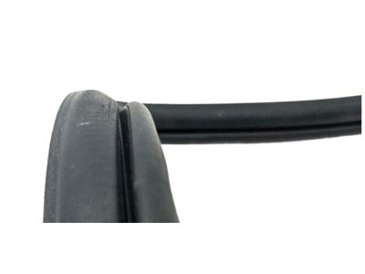 Nissan 76921-ZS50B Weatherstrip-Body Side, RH