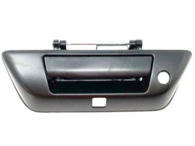 Nissan 90606-EZ06B Rear Gate Handle