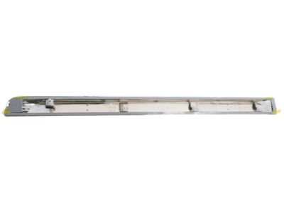 Nissan 82870-1VY0A MOULDING - Rear Door, RH