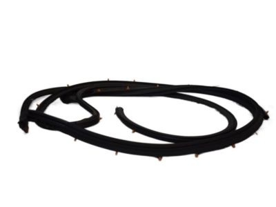 Nissan 80831-1PA0B Weatherstrip-Front Door, LH