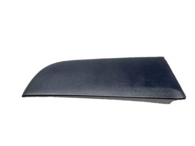 Nissan 822D3-ZJ60A Protector-Rear Door, LH
