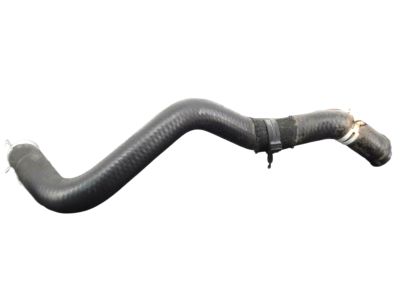 Nissan 21503-EA000 Hose-Radiator, Lower