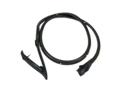 Nissan 80830-7Y000 Weatherstrip-Front Door, RH