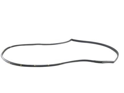 Nissan 80830-5AA0A Weatherstrip-Front Door, RH