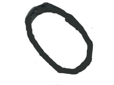 Nissan 80812-3KA0A Tape-Front Door Outside, RH
