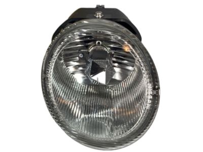 Nissan 26150-2Y925 Lamp Assembly-Fog, RH